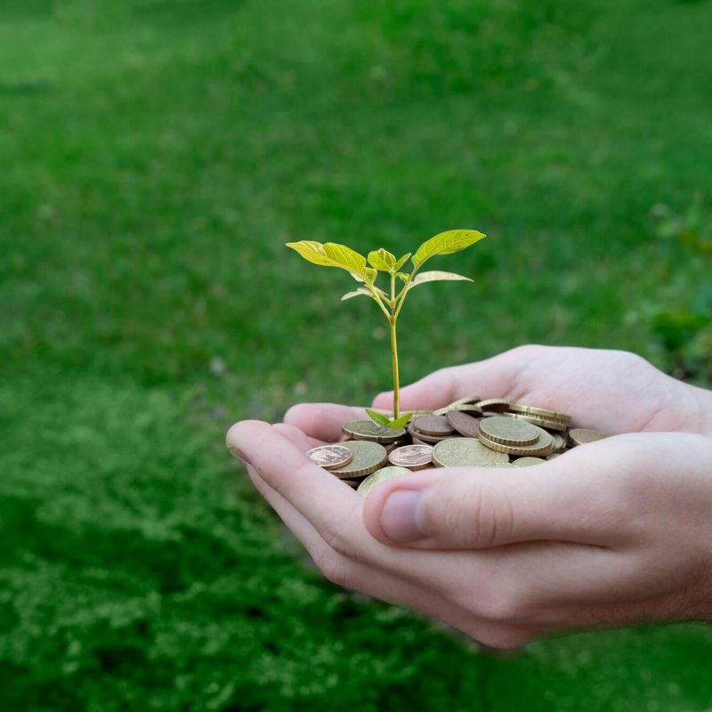 Green energy concept